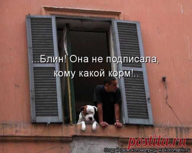 Корм