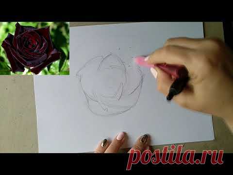 Мастер-класс “Бархатная роза”, день 1 – Обучение ВЕЛЕСНА
