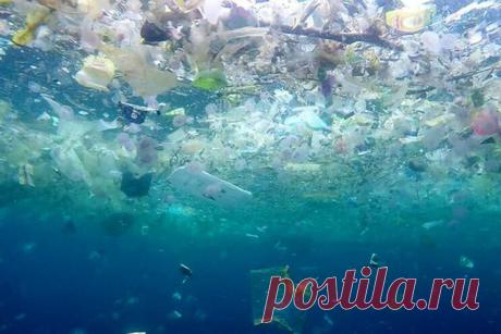 2020 январь. Изобретение, достойное Нобелевской премии: ученые Российского экономического университета им. Плеханова (РЭУ им. Плеханова) создали материал на основе полиэтилена, способный разлагаться в естественной среде, сохранив при этом стоимость и свойства полиэтилена на уровне обычных пластиков