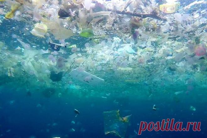 2020 январь. Изобретение, достойное Нобелевской премии: ученые Российского экономического университета им. Плеханова (РЭУ им. Плеханова) создали материал на основе полиэтилена, способный разлагаться в естественной среде, сохранив при этом стоимость и свойства полиэтилена на уровне обычных пластиков