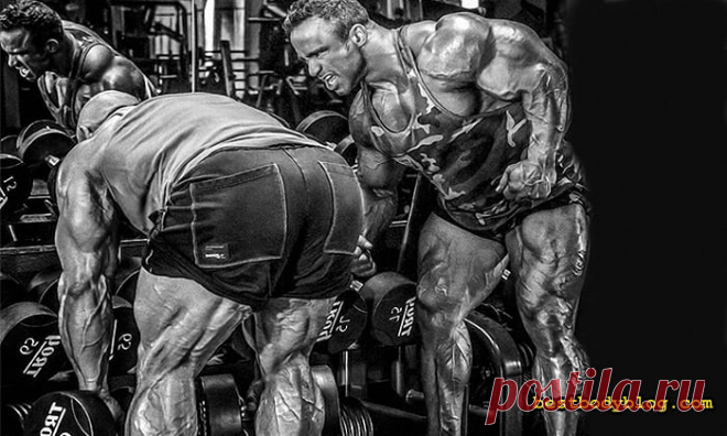5 упражнений на спину с гантелями в домашних условиях | bestbodyblog.com