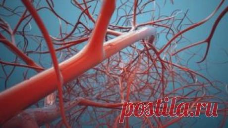 ОЧИЩЕНИЕ И УКРЕПЛЕНИЕ СОСУДОВ ПО МЕТОДИКАМ НАРОДНЫХ ЦЕЛИТЕЛЕЙ | Карусель | Яндекс Дзен