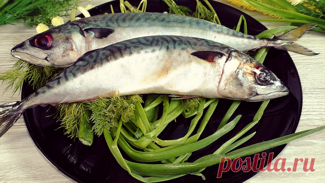 Часто покупаю скумбрию, после того как научилась готовить 