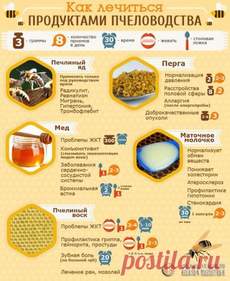 КАК ЛЕЧИТЬСЯ ПРОДУКТАМИ ПЧЕЛОВОДСТВА
Сохраните себе!