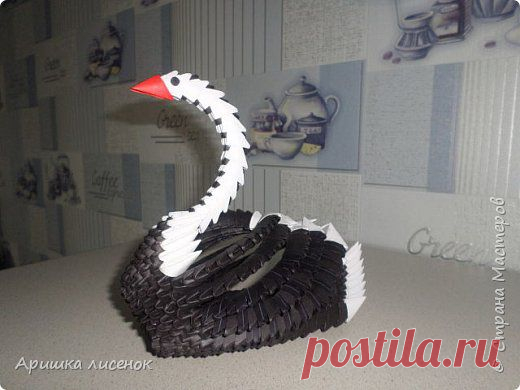 Черный лебедь. | Страна Мастеров