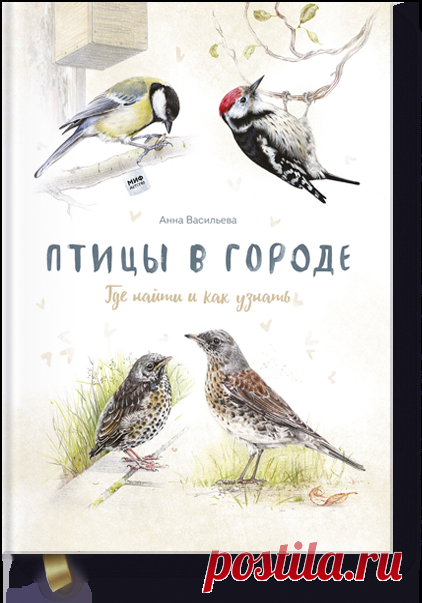 Птицы в городе (Анна Васильева) — купить в МИФе Расскажет о36видах птиц, которые встречаются вкаждом городе. Бумажная, электронная книга (pdf2, pdf). Читать отзывы и скачать главу.