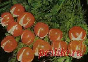 Закуска «Тюльпан»
Закуска «Тюльпан» — рецепт подсказка, как мужчинам приготовить и порадовать своих любимых в праздник, а ведь своими руками сделать такую закуску лучший подарок.

Ингредиенты:

— продолговатые помидоры

— сливочный сыр (мягкий творог)

— чеснок

— майонез

— зелень

Приготовление: Читать далее »