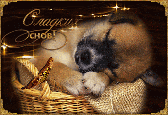 фаина попова – Google+