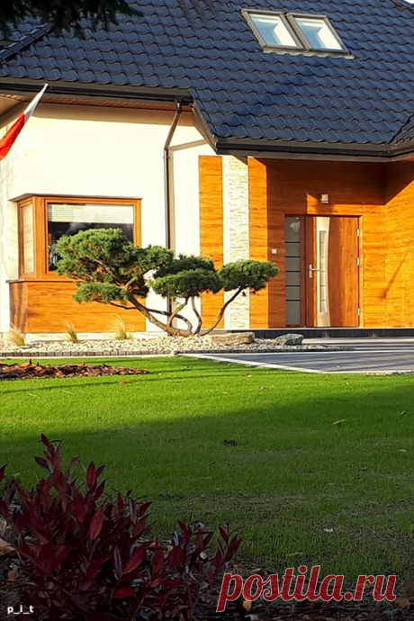 Projekt domu Dom w sansewieriach Realizacje - ARCHON+
