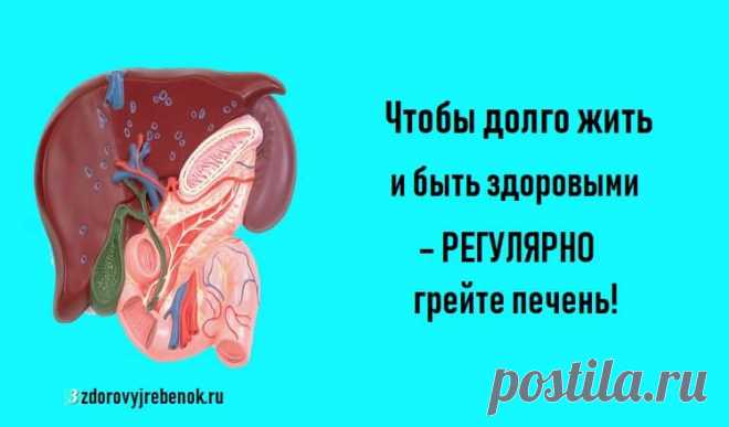 Чтобы долго жить и быть здоровыми – регулярно грейте печень! Чтобы долго жить и быть здоровыми – регулярно грейте печень!Древние люди боготворили, чтили печень и полагали, что она является не только