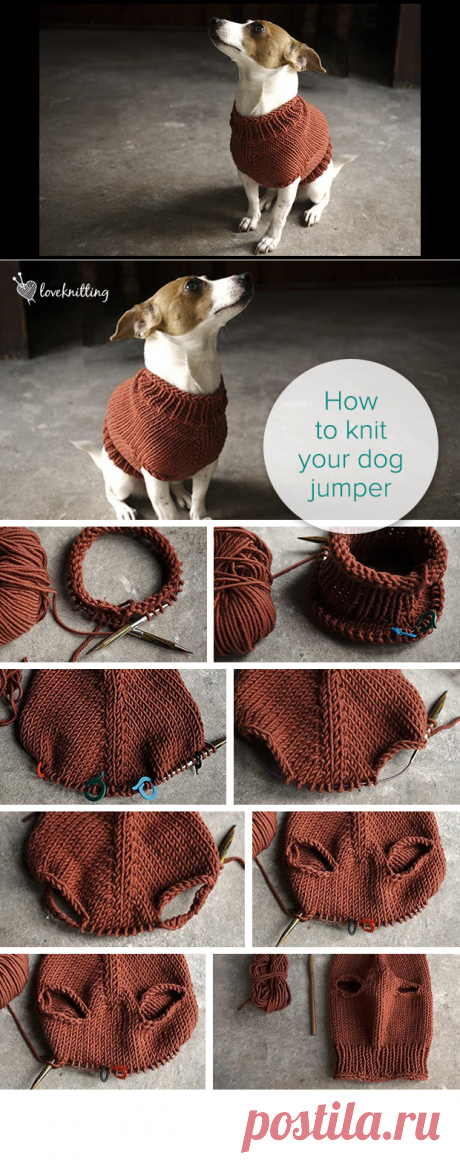 Knit with Alice: The Juno Jumper • LoveKnitting Blog