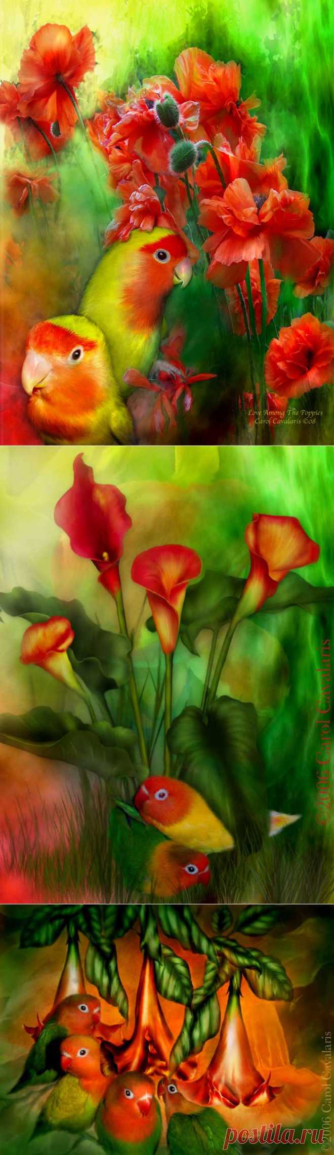 Carol Cavalaris.Love Birds..