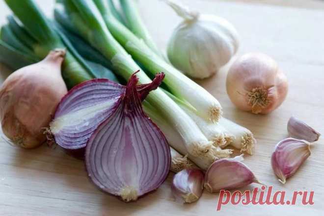 Ох уж эта простуда: 8 эффективных способов борьбы с главным осенним недугом