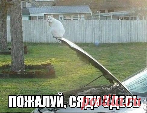 OK.RU