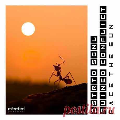 DSTRTD SGNL feat. Ruined Conflict - Face The Sun (Single) (2025) 320kbps / FLAC