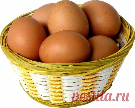 Приметы о курином яйце — Народные приметы