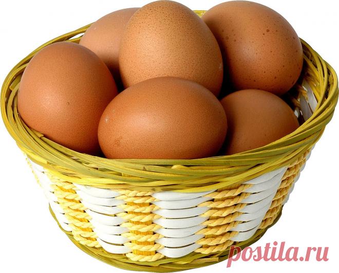 Приметы о курином яйце — Народные приметы
