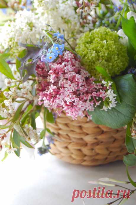catarinaregina:
“ mustanggina:popcornandpretty:sneak peek: spring flowers - {frolic!}
”