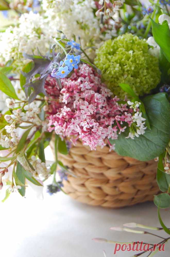catarinaregina:
“ mustanggina:popcornandpretty:sneak peek: spring flowers - {frolic!}
”
