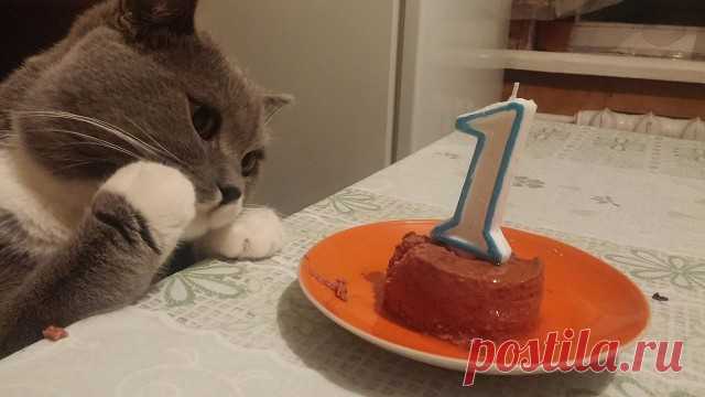 Счастью нет предела)