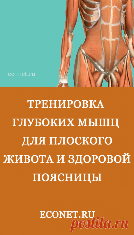 Тренировка глубоких мышц для плоского живота и здоровой поясницы