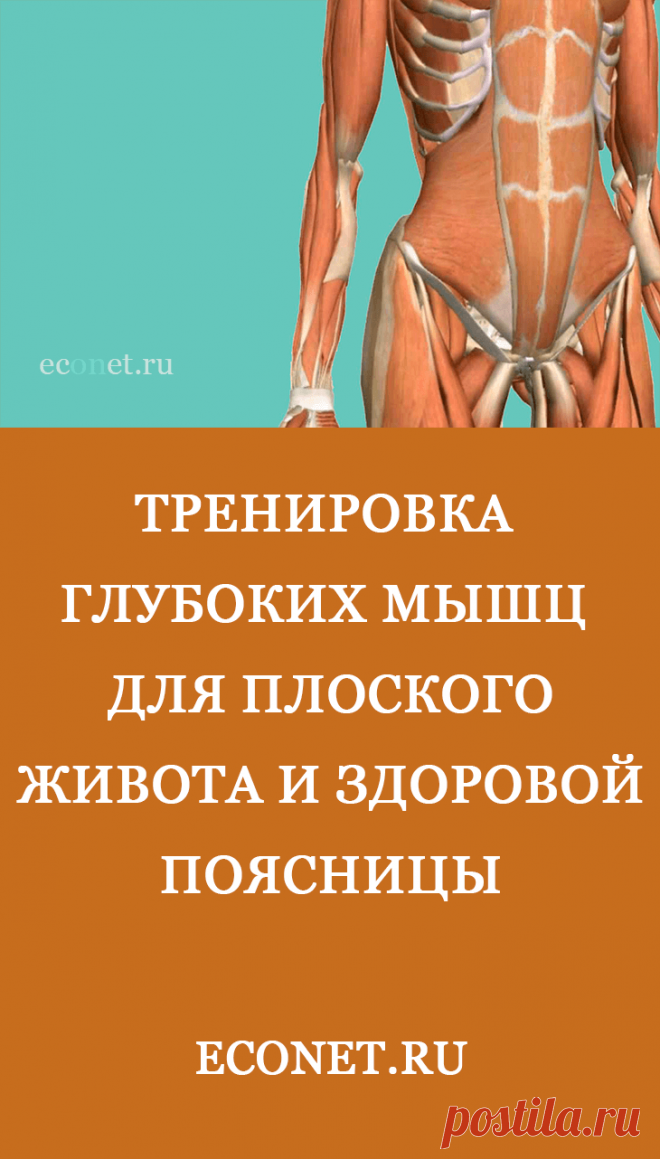 Тренировка глубоких мышц для плоского живота и здоровой поясницы
