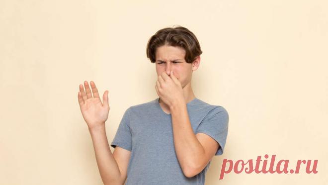 В России предложили приравнять плохие запахи к загрязнениям воздуха. Депутат петербургского Заксобрания Андрей Рябоконь разработал поправки в федеральный закон N 96-ФЗ "Об охране атмосферного воздуха". Об этом сообщает "Парламентская газета". В нынешней редакции документа ...