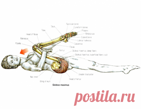 5 упражнений для поясницы, не вставая с постели