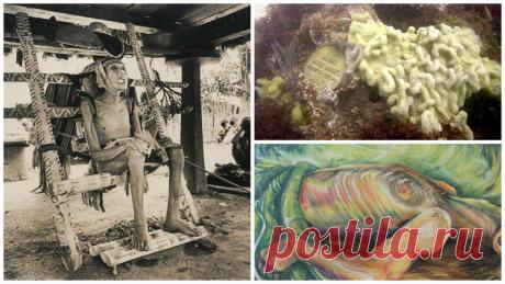 10 самых необычных способов погребения со всех уголков мира | Чёрт побери Между жизнью на земле и загробной жизнью, человека ждёт обряд погребения. В разных уголках мира существуют разные обычаи касающиеся погребения, и некоторые из них покажутся вам странными, а где то и пугающими ...  Деревья с ДНК человека На первый взгляд, идея съесть яблоко, в котором есть ДНК человека, выглядит совершенно безумной. Но компания Biopresence предлагает услугу «Живые мемориалы» или «Тран...