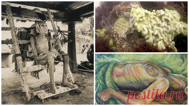 10 самых необычных способов погребения со всех уголков мира | Чёрт побери Между жизнью на земле и загробной жизнью, человека ждёт обряд погребения. В разных уголках мира существуют разные обычаи касающиеся погребения, и некоторые из них покажутся вам странными, а где то и пугающими ...  Деревья с ДНК человека На первый взгляд, идея съесть яблоко, в котором есть ДНК человека, выглядит совершенно безумной. Но компания Biopresence предлагает услугу «Живые мемориалы» или «Тран...