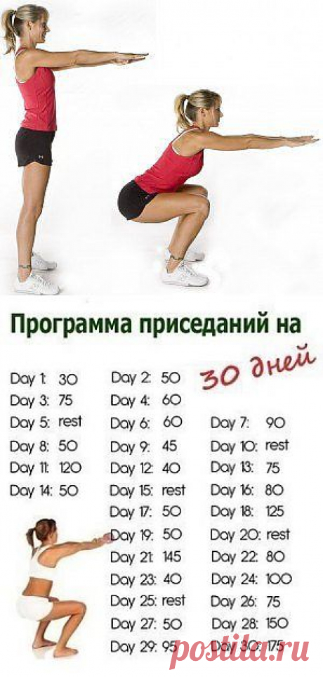 Фитнес приседания. Таблица..