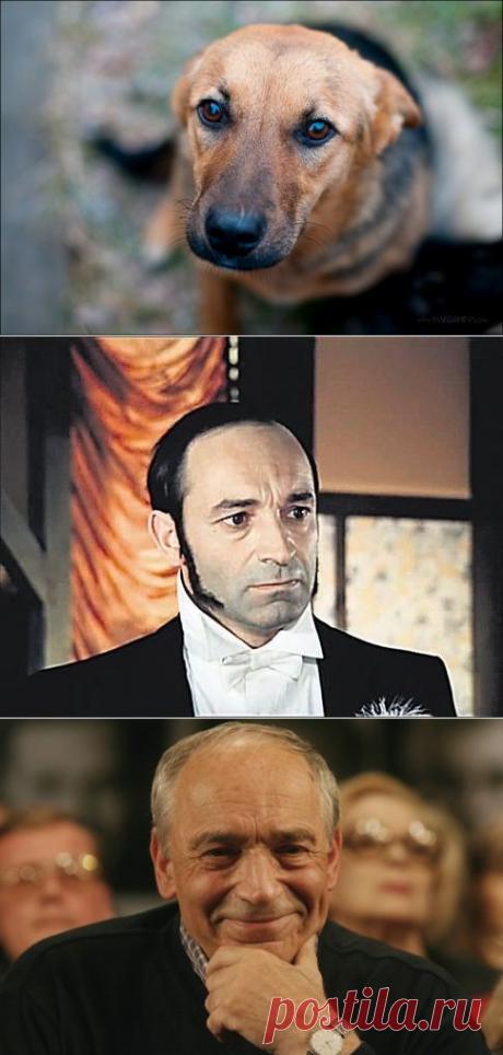 Проникающие в душу стихи В.Гафта — Болтай