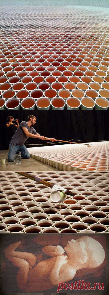Он поставил 66 000 стаканчиков с водой на пол. Когда зрители подошли ближе, у них отняло дар речи!