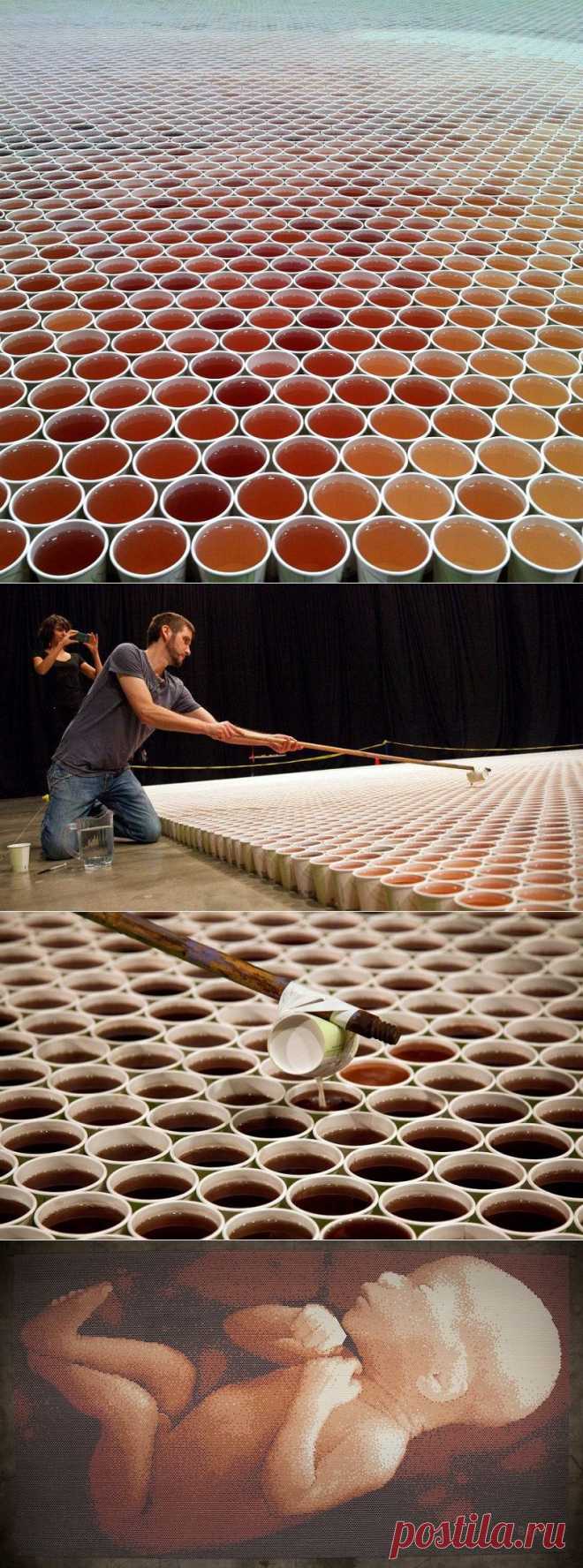 Он поставил 66 000 стаканчиков с водой на пол. Когда зрители подошли ближе, у них отняло дар речи!