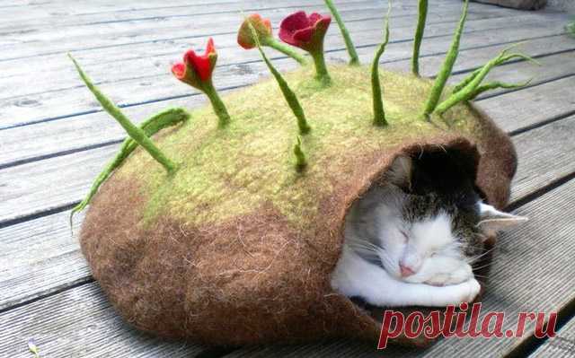 Домик для кошки и кота своими руками: как сделать