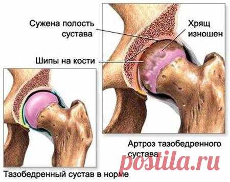 Интересные новости
