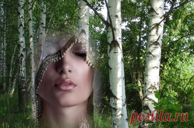 Оберег березовый или березовые путы | Женские секреты