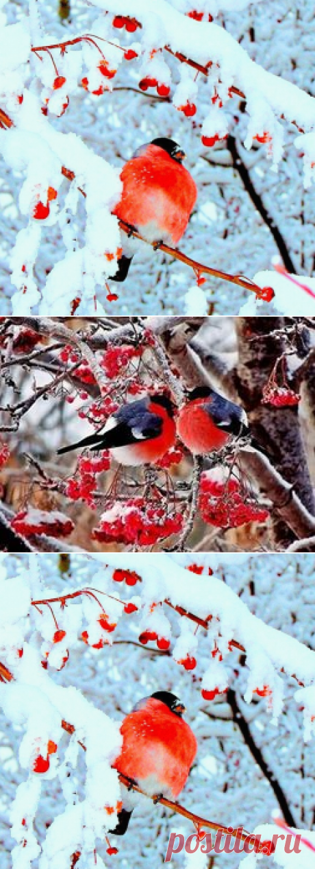 (5) Фототерапия - Фототерапия добавил(а) новое фото.