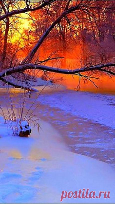 winter, sunset, evening, branches, tree, pond, cold, snow