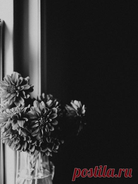 Есть ли душа у человека.
После любой тёмной ночи наступает рассвет… После любой тёмной ночи наступает рассвет… Думаю что есть… Прошло время, после сакральных 40 дней со дня ухода Брата… Наступает смирение со случившимся, боль еще терзает, ещё сами собою наворачиваются слёзы… Но уже легче… Горе и боль не такие острые, хотя они есть и болеем все вместе, но острая […]
Читай дальше на сайте. Жми подробнее ➡