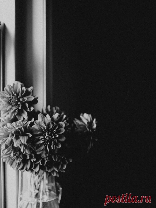 Есть ли душа у человека.
После любой тёмной ночи наступает рассвет… После любой тёмной ночи наступает рассвет… Думаю что есть… Прошло время, после сакральных 40 дней со дня ухода Брата… Наступает смирение со случившимся, боль еще терзает, ещё сами собою наворачиваются слёзы… Но уже легче… Горе и боль не такие острые, хотя они есть и болеем все вместе, но острая […]
Читай дальше на сайте. Жми подробнее ➡