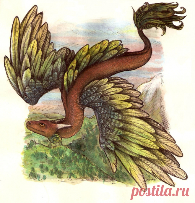 gift art. dragon by Liedeke on DeviantArt