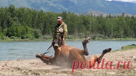 Заповедник у истоков Катуни. Katunsky reserve. Siberia. Altai.