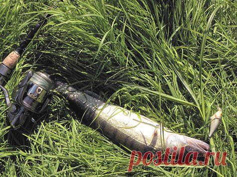 Судак днём и ночью