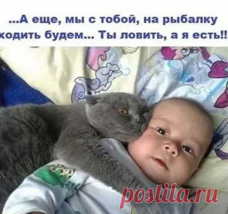 Для шикарного настроения: 20 анекдотов и шуток в картинках