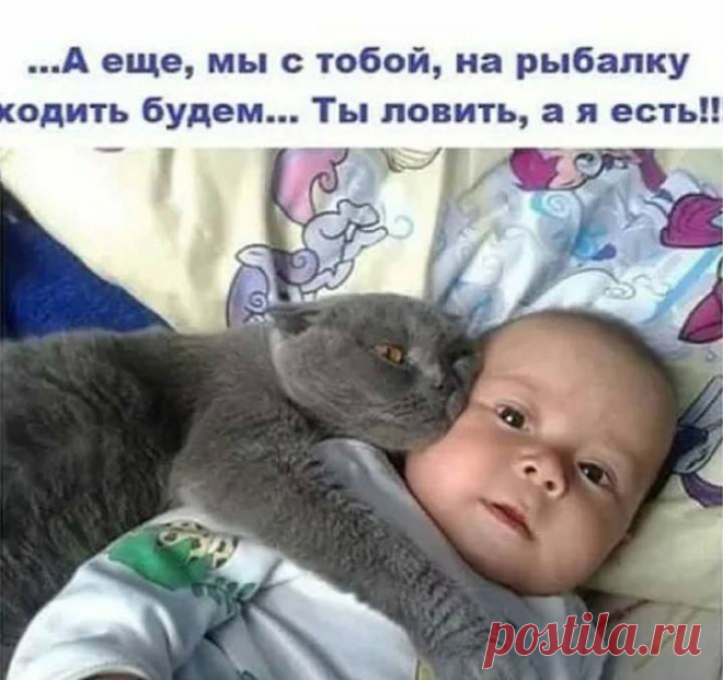 Для шикарного настроения: 20 анекдотов и шуток в картинках