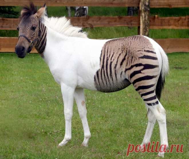 20 фотографий, которые удивили мир в этом году