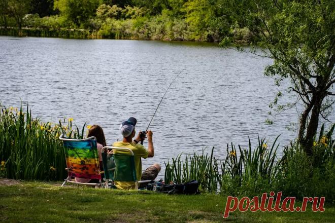 На что ловить рыбу если нет червей- Журнал полезных советов