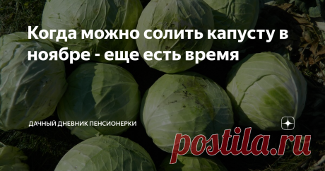 Когда можно солить капусту в ноябре - еще есть время В ноябре еще можно солить капусту. Лучшие дни для этого.