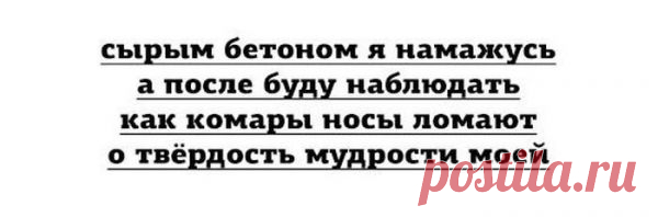 Лучшие цитаты интернета | ВШоке.инфо - шокирующие новости, факты, юмор и многое другое!